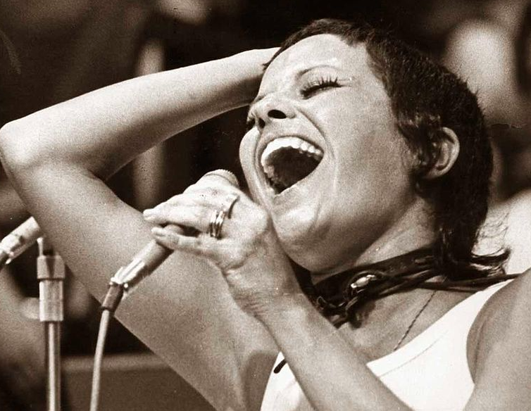 Elis Regina será homenageada em bloco de carnaval
