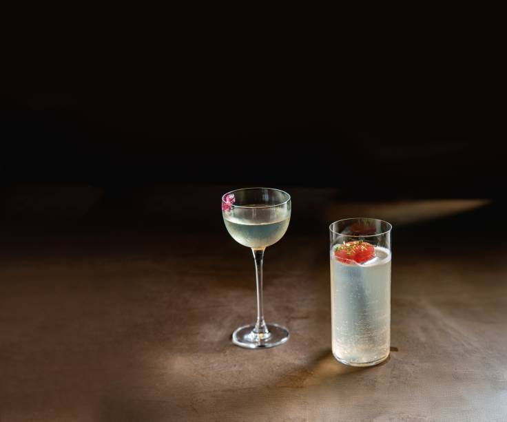 Tequila com água de tomate e vodca com melancia: boas combinações Tequila com água de tomate e vodca com melancia: boas combinações