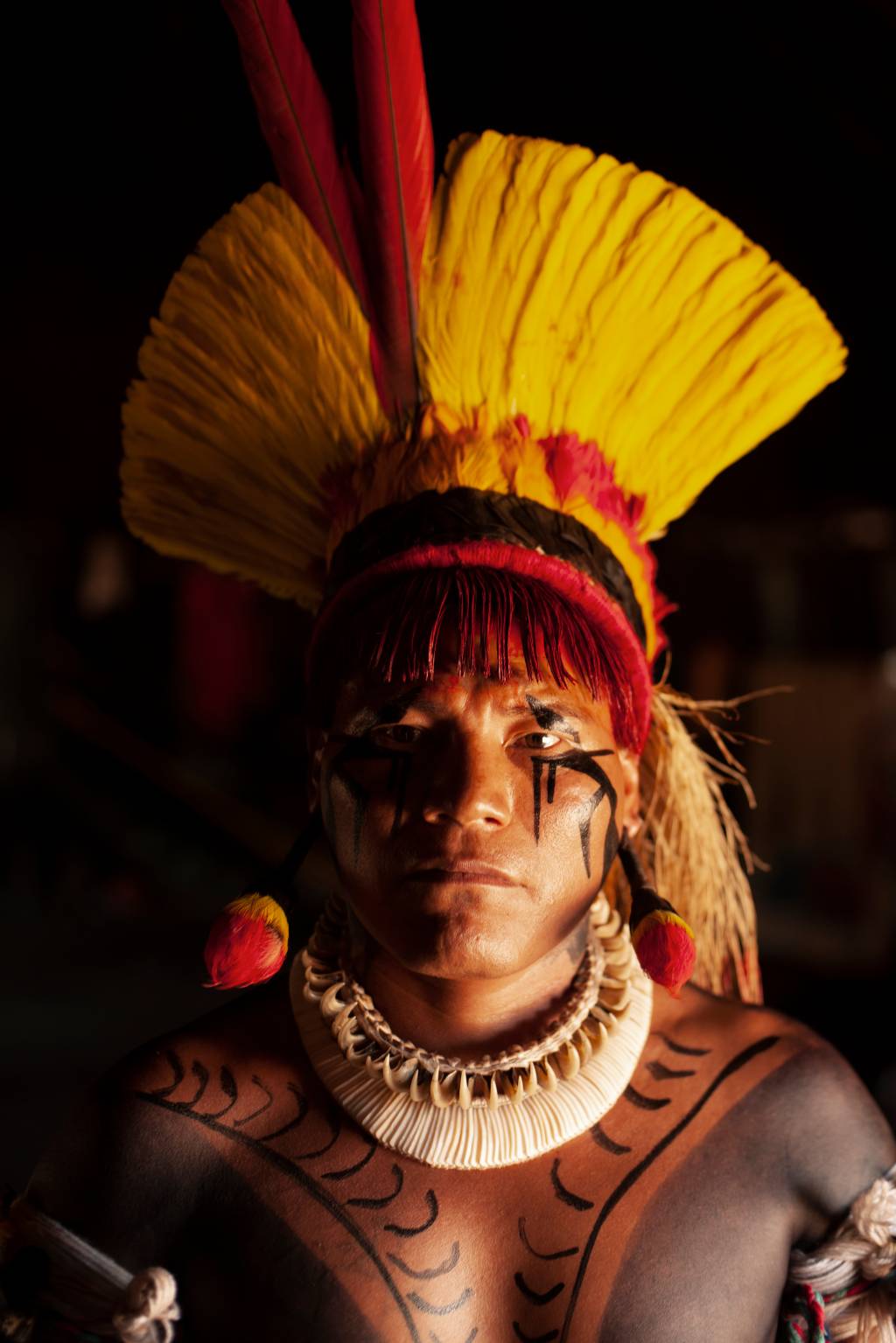 Jawari na aldeia Kalapalo 2016 Com o Tukanapi, seu cocar de penas de Arara, Tucano, Papagaio, Recongo e Gavião Real, o Muirapeí o colar feito de caramujos, o colar Djawarum, feito com as garras de Onça e seus brincos de penas de Tucano, o homem está pronto para o ritual. Aldeia Aiha Kalapalo na Terra Indígena Xingu (2016, Renato Soares)