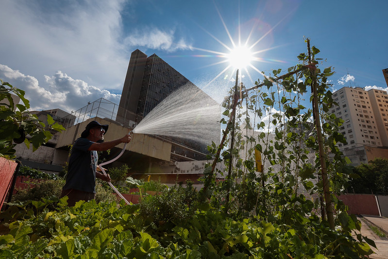 Calor volta a SP: temperatura pode chegar a 34 °C nesta sexta-feira