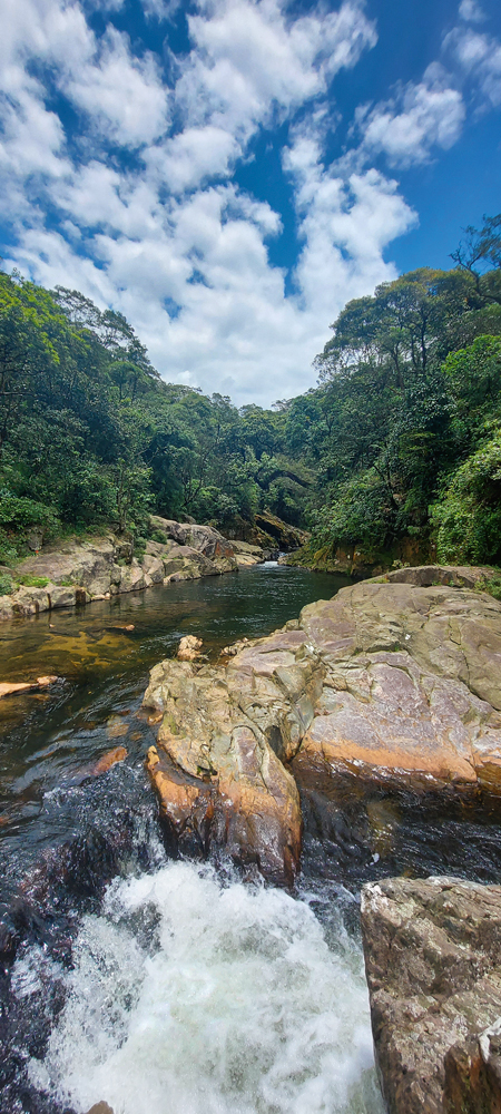 Parque Caminhos do Mar Cachoeira da Torre: 9 km entre ida e volta