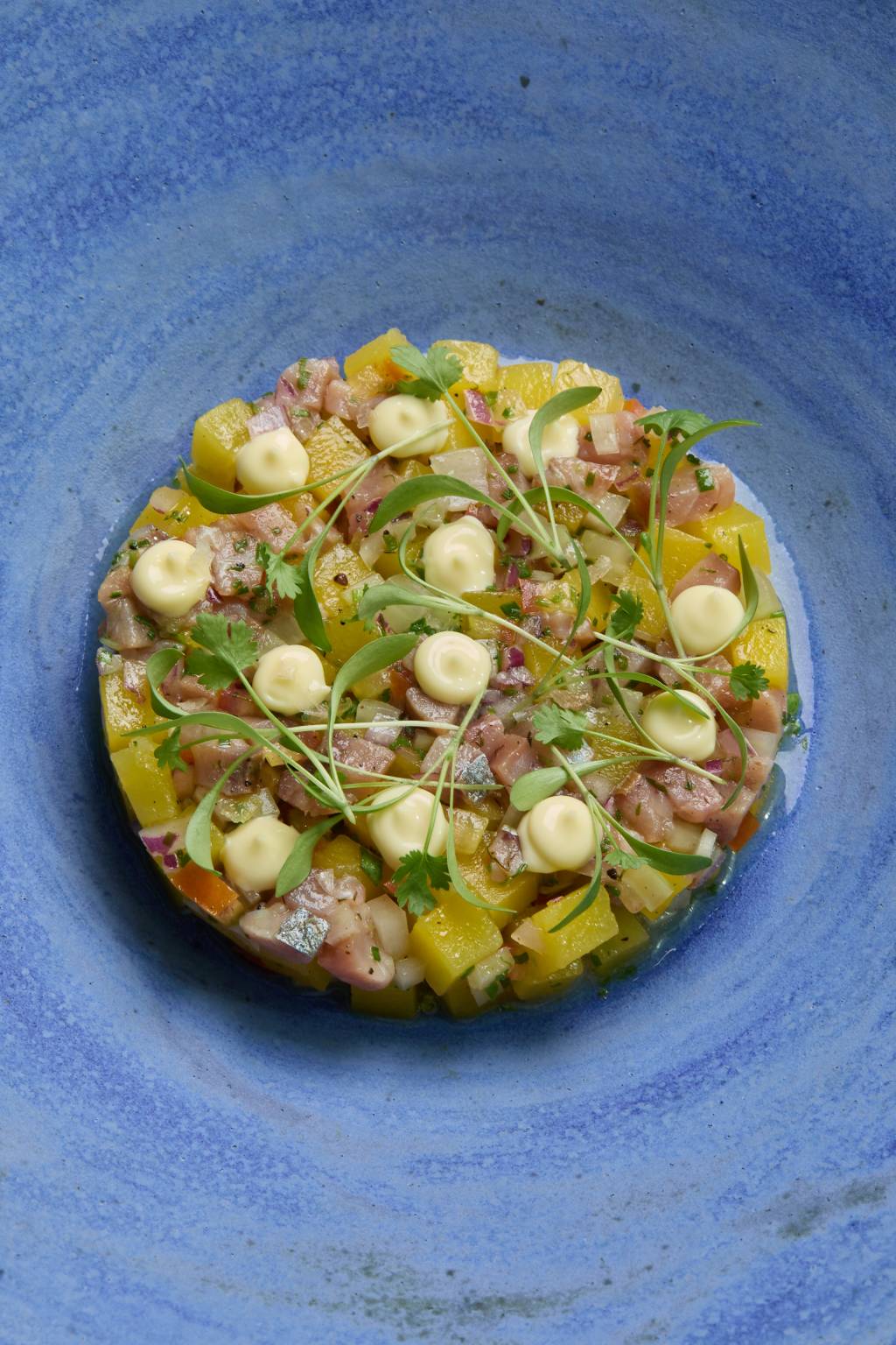 Peixe defumado A.MAR com mandioquinha, erva doce e maionese – R Peixe no prato e fundo azul