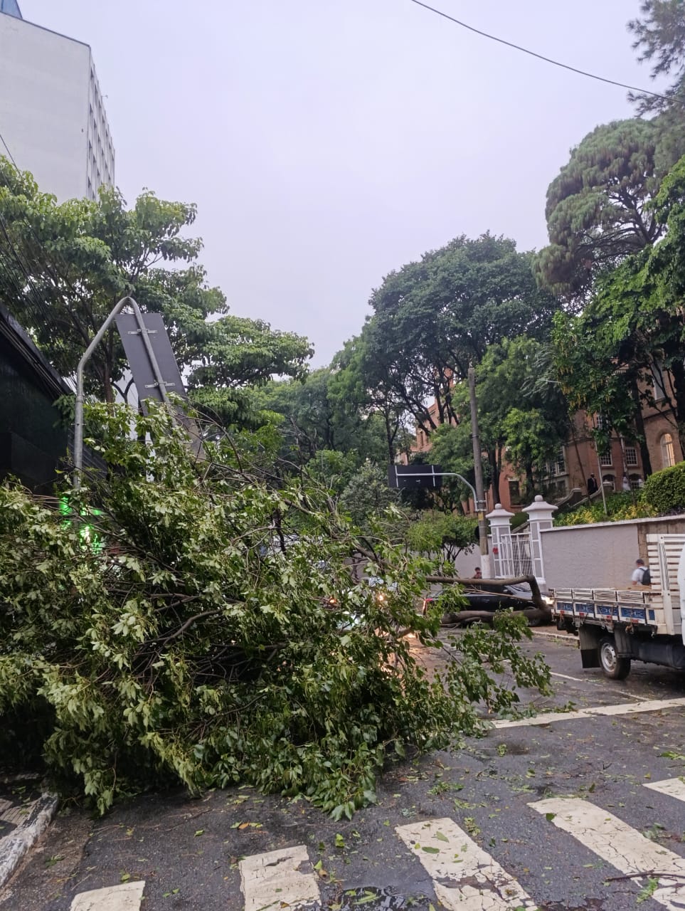 Chuvas e vento de mais de 60 km/h causam uma morte e deixa rastro de destruição em SP