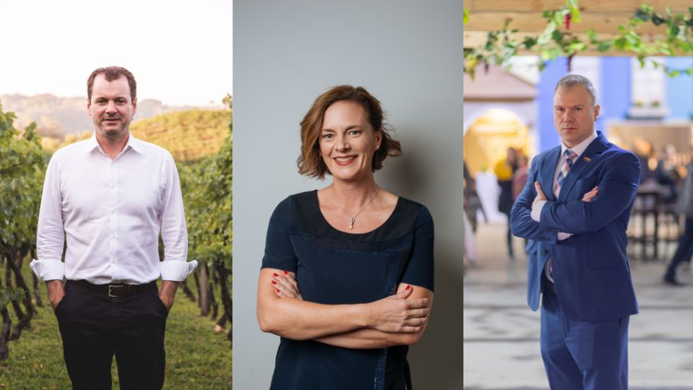 Novidades e tendência para o mercado de vinhos