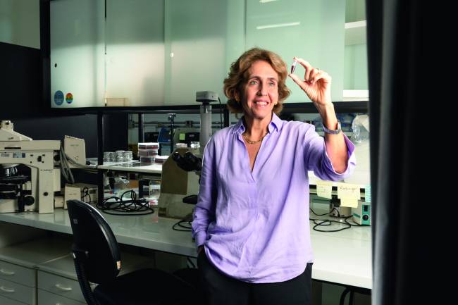 a geneticista Lygia da Veiga Pereira lygia-veiga-pereira-geneticista