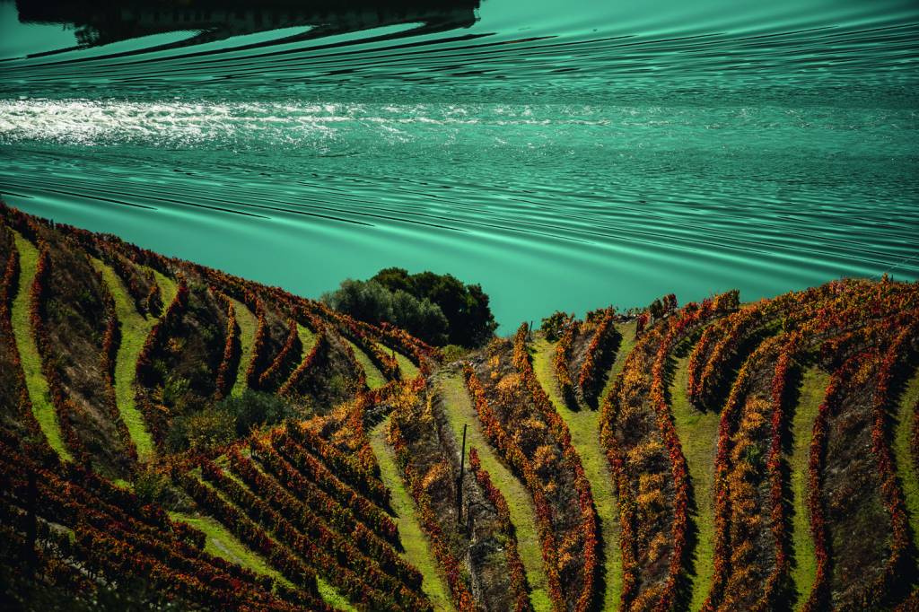Vinícola em Portugal Menin Douro Estates no Brasil