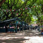 Conheça festas juninas em shoppings e para levar as crianças