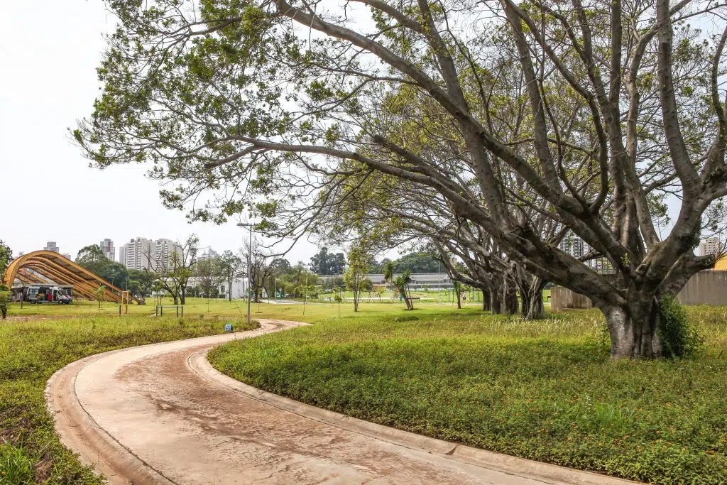 belem-murilloconstantino-52-1024x683-1.jpg Governo de SP abre consulta pública de 6 parques para concessão à iniciativa privada