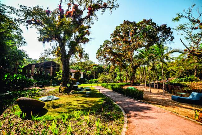 fazenda-bananal-paraty