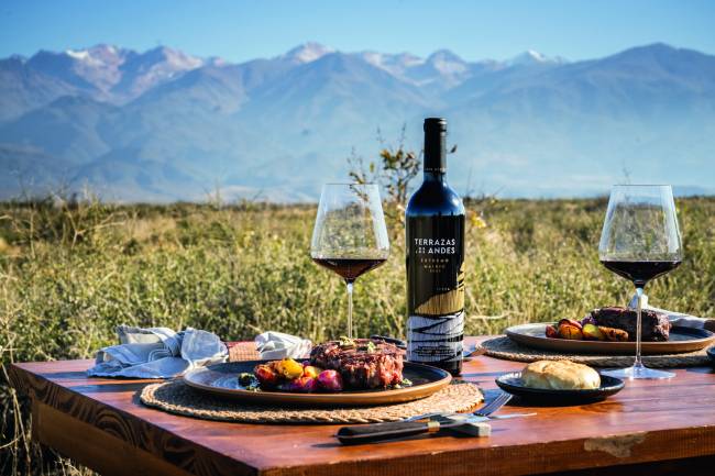 _FJG8941.jpg terraza-los-andes-viagem-vinicola-argentina
