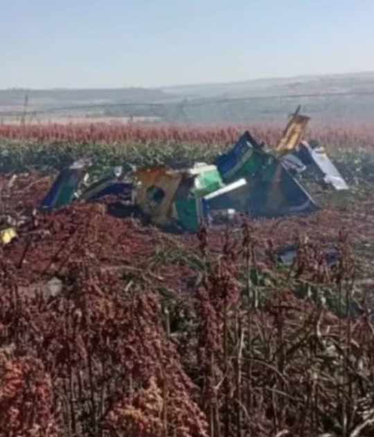 Dois aviões da Esquadrilha da Fumaça batem durante treinamento em SP