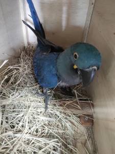 WhatsApp Image 2025-08-28 at 18.10.16