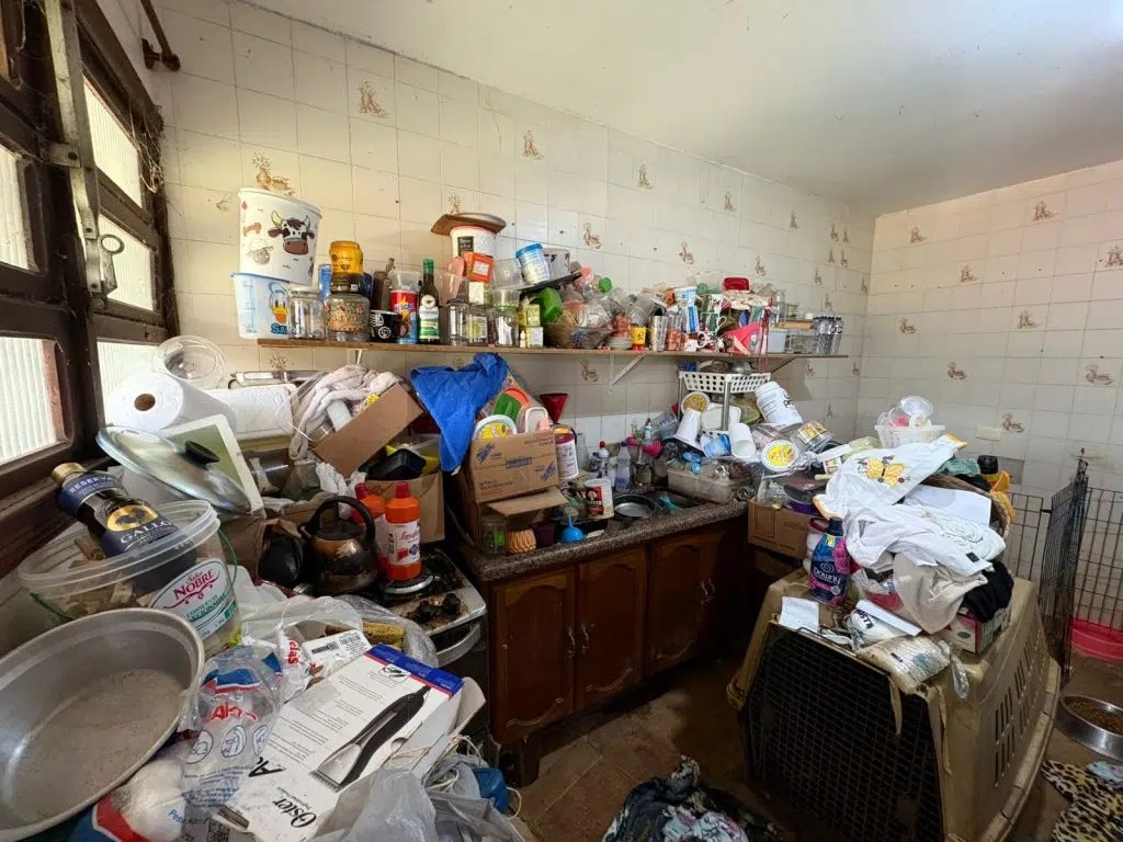 Polícia resgata 125 animais em condições de maus-tratos na Grande SP