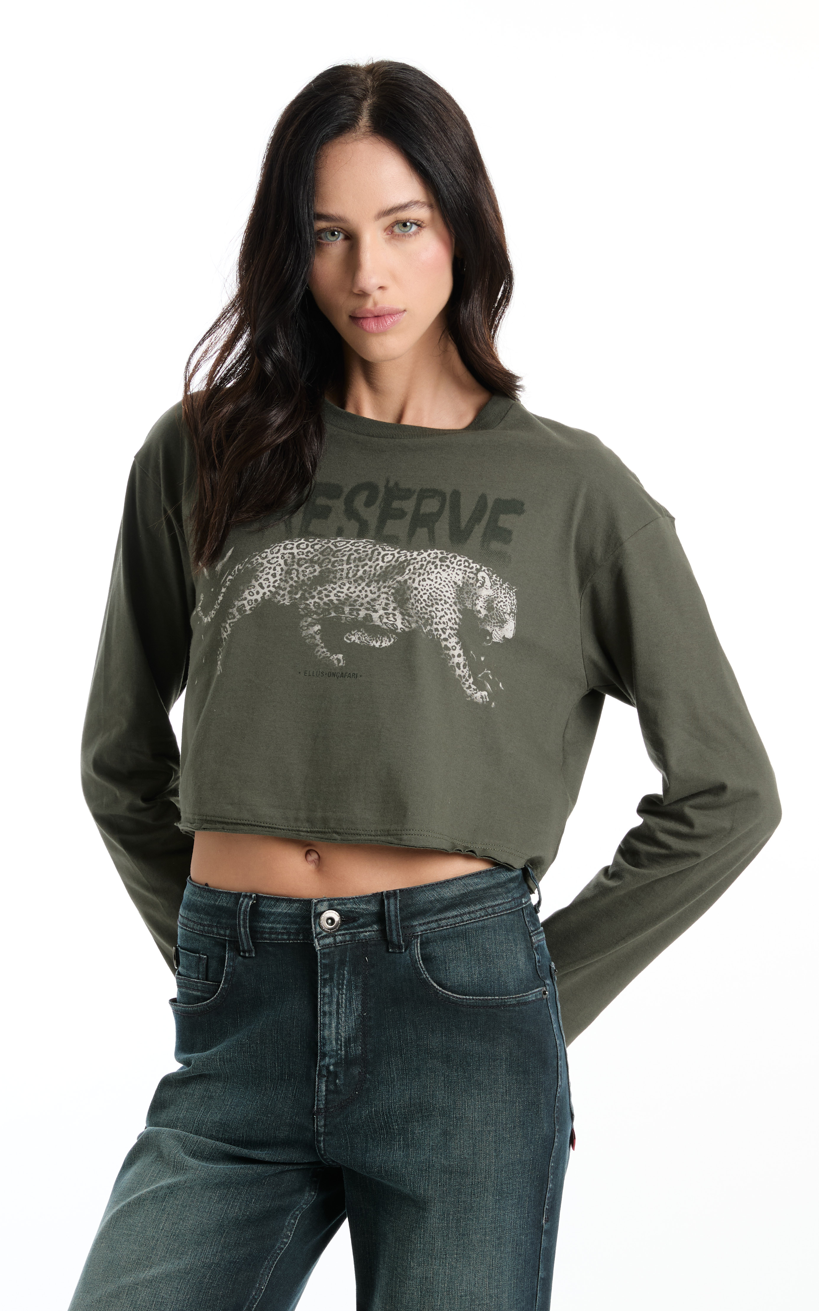 Collab Ellus e On&ccedil;afari