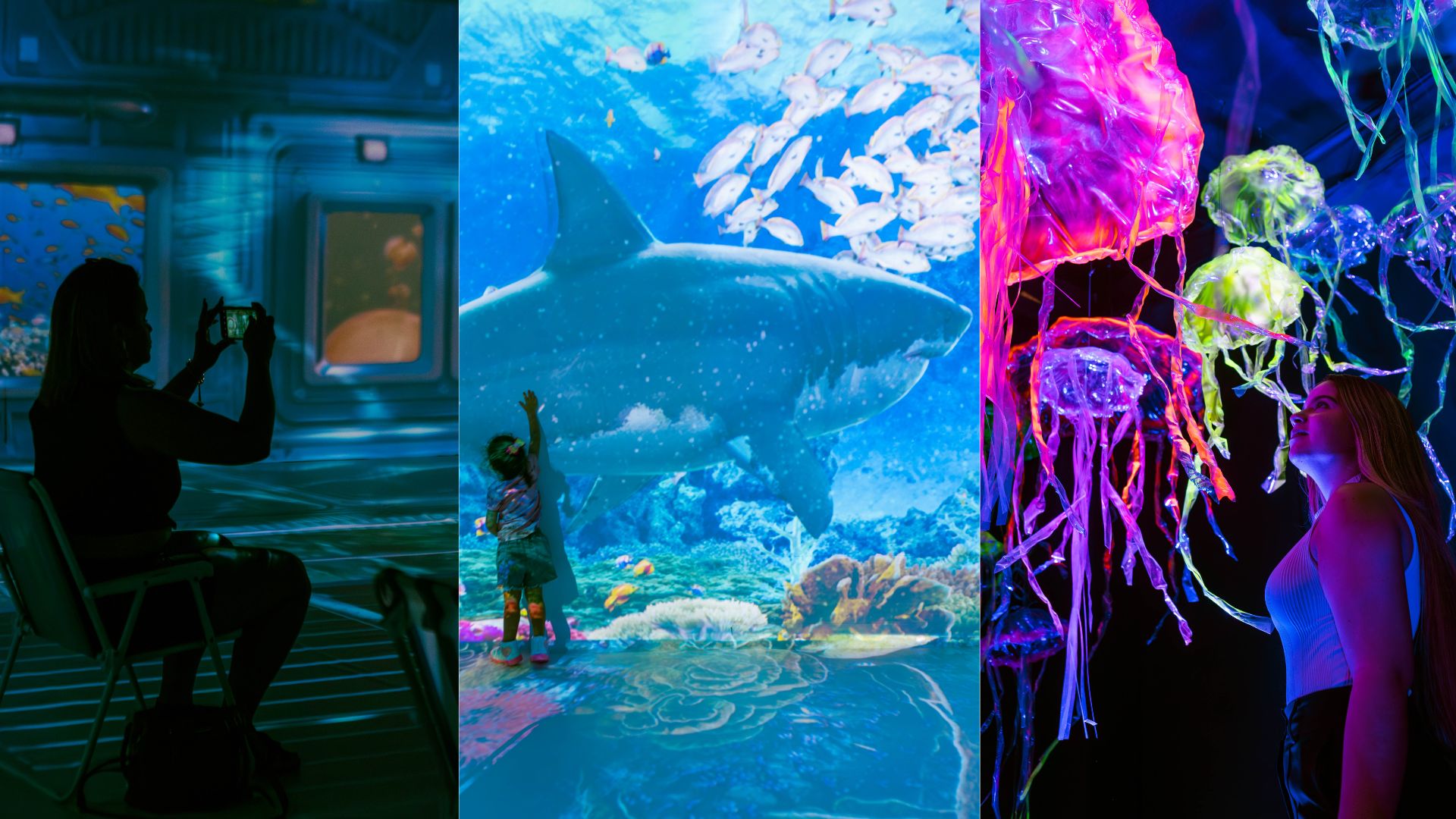 Do tubar&atilde;o &agrave;s &aacute;guas-vivas: um passeio que revela os segredos do mar