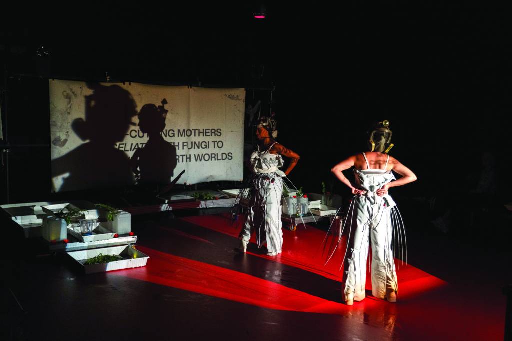 “Tapajós” aborda contaminação de mercúrio no rio que deságua no Pará