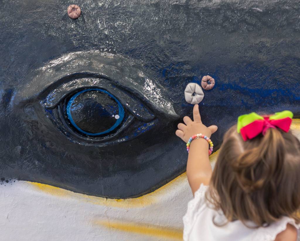 Exposição Oceano Vivo transforma Shopping Taboão em aventura submarina
