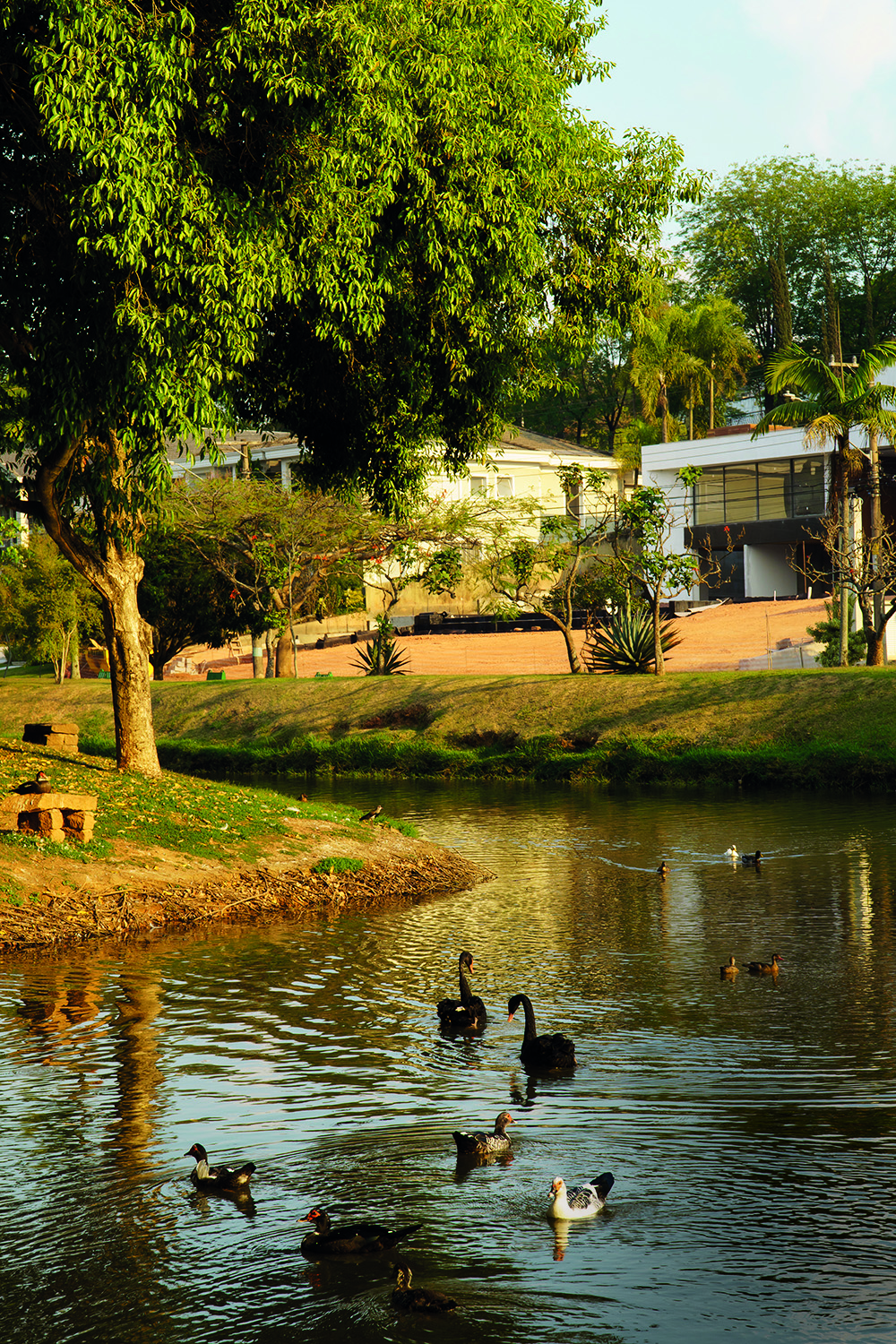Lago em condompinio de Alphaville