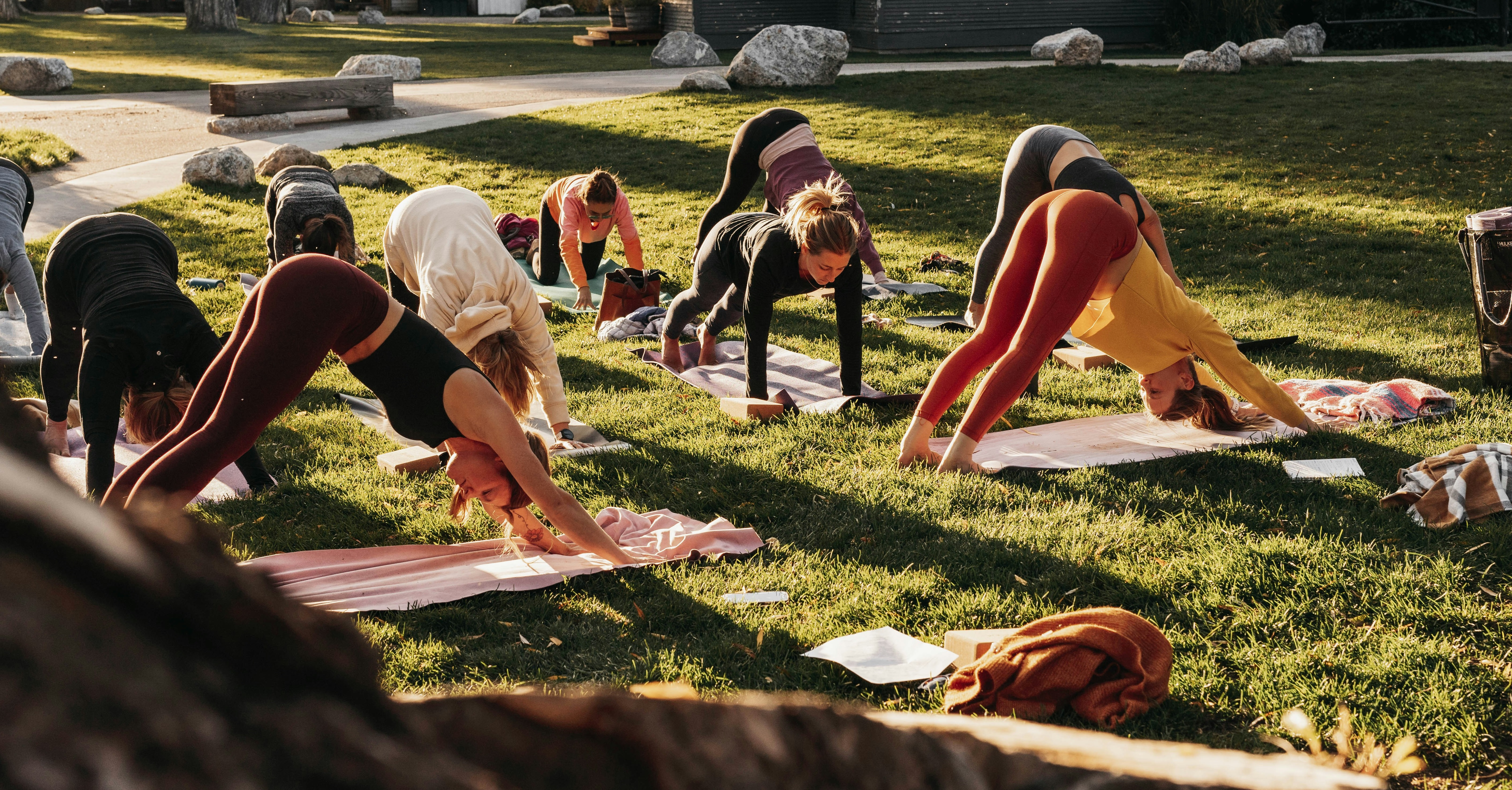 marea-wellness-yWHh1PhxOgc-unsplashYOGA Bem-estar no parque: Bio Ritmo leva yoga e pilates para o Villa-Lobos
