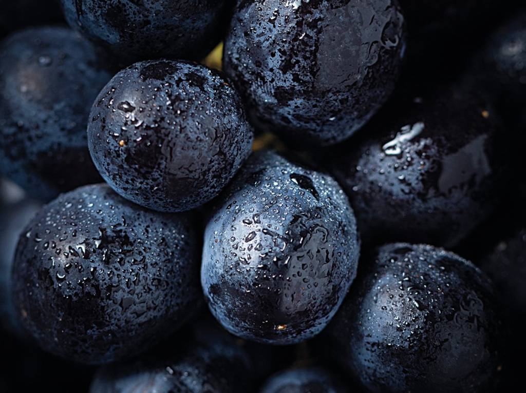 A bonarda é uva número 2 entre os tintos argentinos