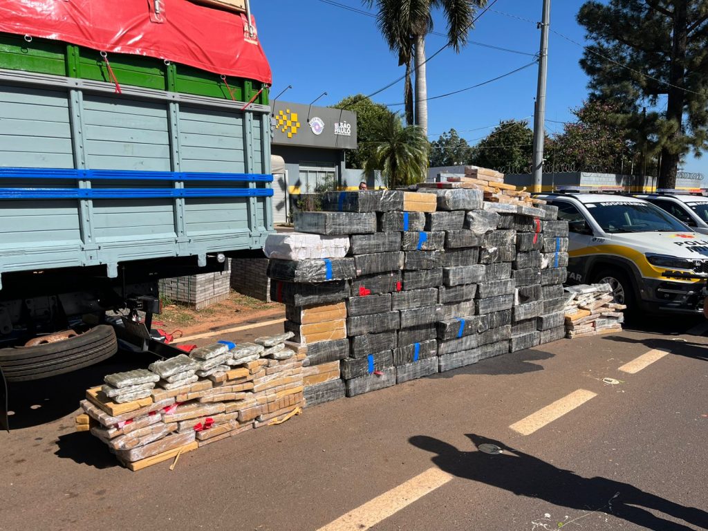 Polícia Rodoviária apreende uma tonelada de maconha na sexta (24) e supera total de drogas confiscadas em 2024