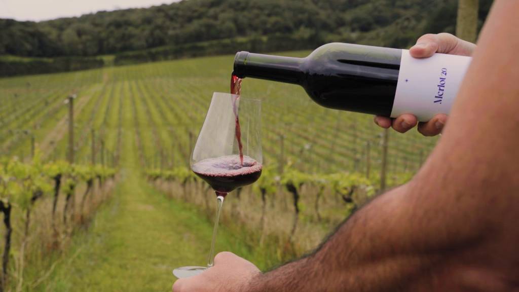 Vivá Vinhos Naturais celebra a força da natureza no Wine Fest 2025