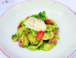 Marena Cucina: Orecchiette Cima di Rapa.JPEG Marena Cucina: Orecchiette Cima di Rapa.JPEG