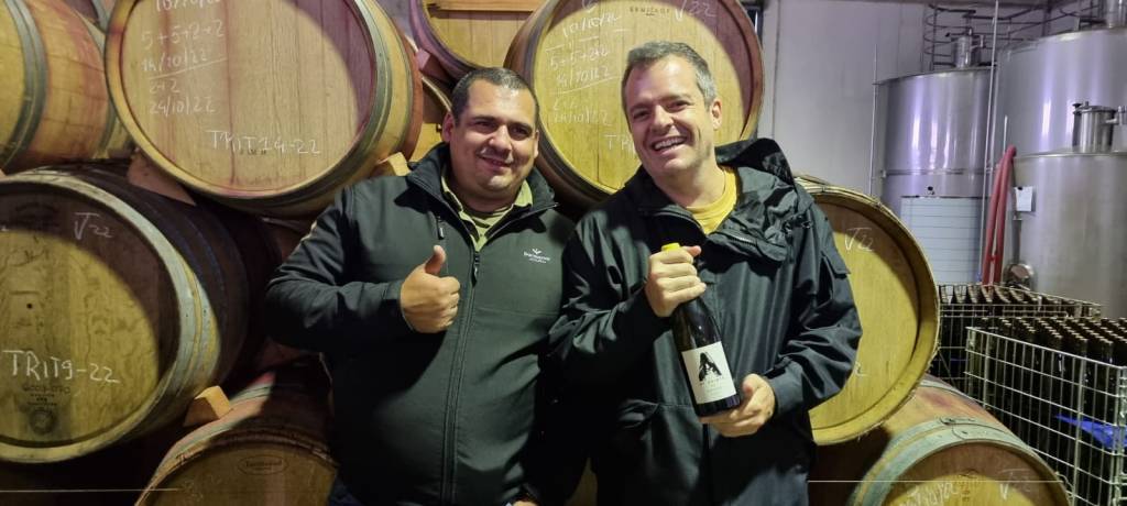 Confirmada no Wine Fest 2025, a 011 trabalha com vinhos de pequenos produtores que respeitam o terroir