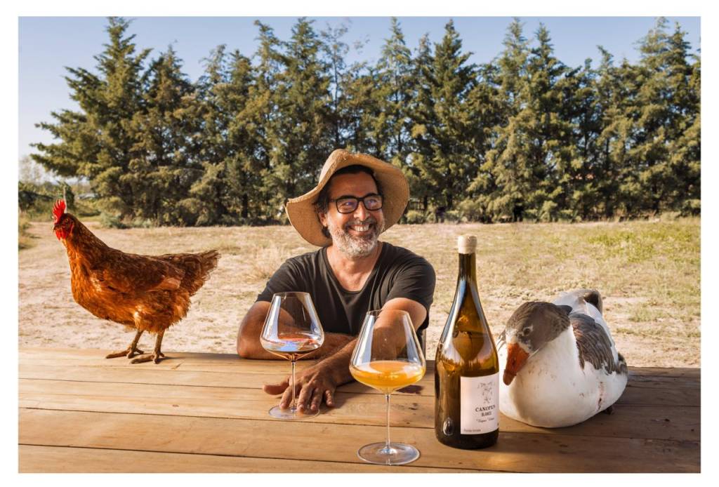 Canopus: vinícola boutique do Vale do Uco é presença confirmada no Wine Fest 2025