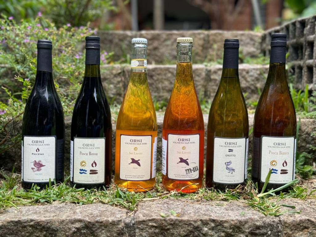 Vigneto San Vito apresenta seus vinhos autênticos no Wine Fest 2025