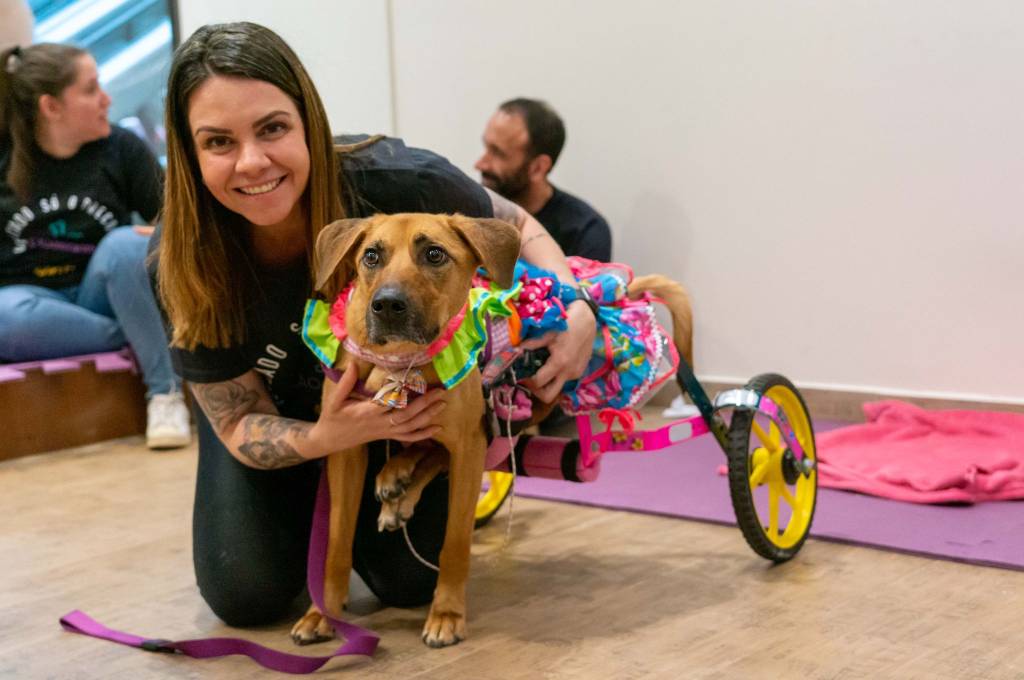 Pets com deficiência são protagonistas em evento de adoção neste domingo (26)