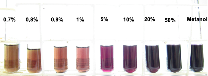 linearidade-do-metodo-em-etanol-m18_u51_15022022174733 Unesp criou técnica barata e prática para identificar metanol em bebidas
