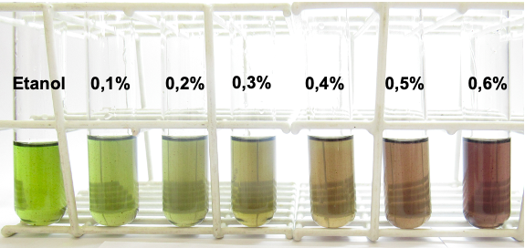 linearidade-do-metodo-em-etanol-m18_u51_15022022174733 Unesp criou técnica barata e prática para identificar metanol em bebidas