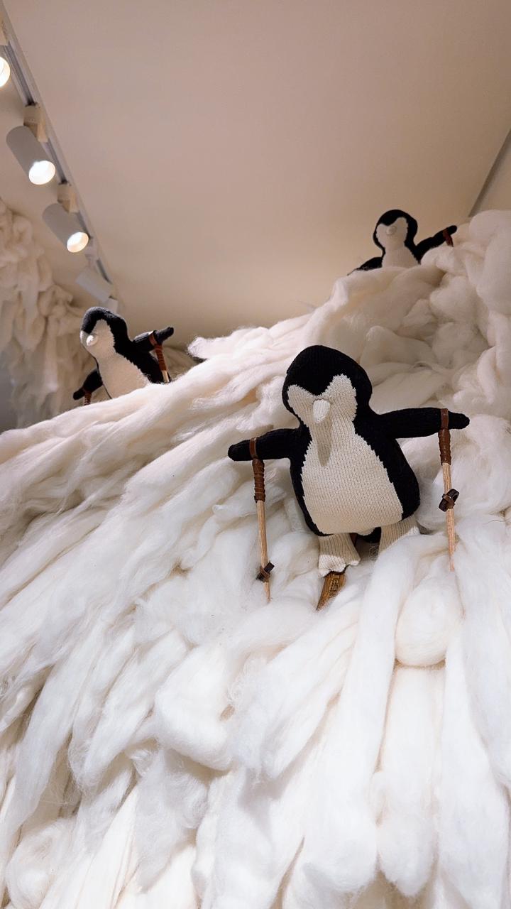 Anselmi inaugura loja pop-up de roupas de esqui