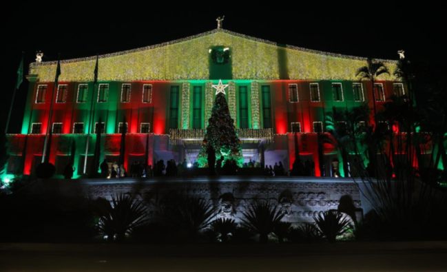 Árvore Palácio dos Bandeirantes