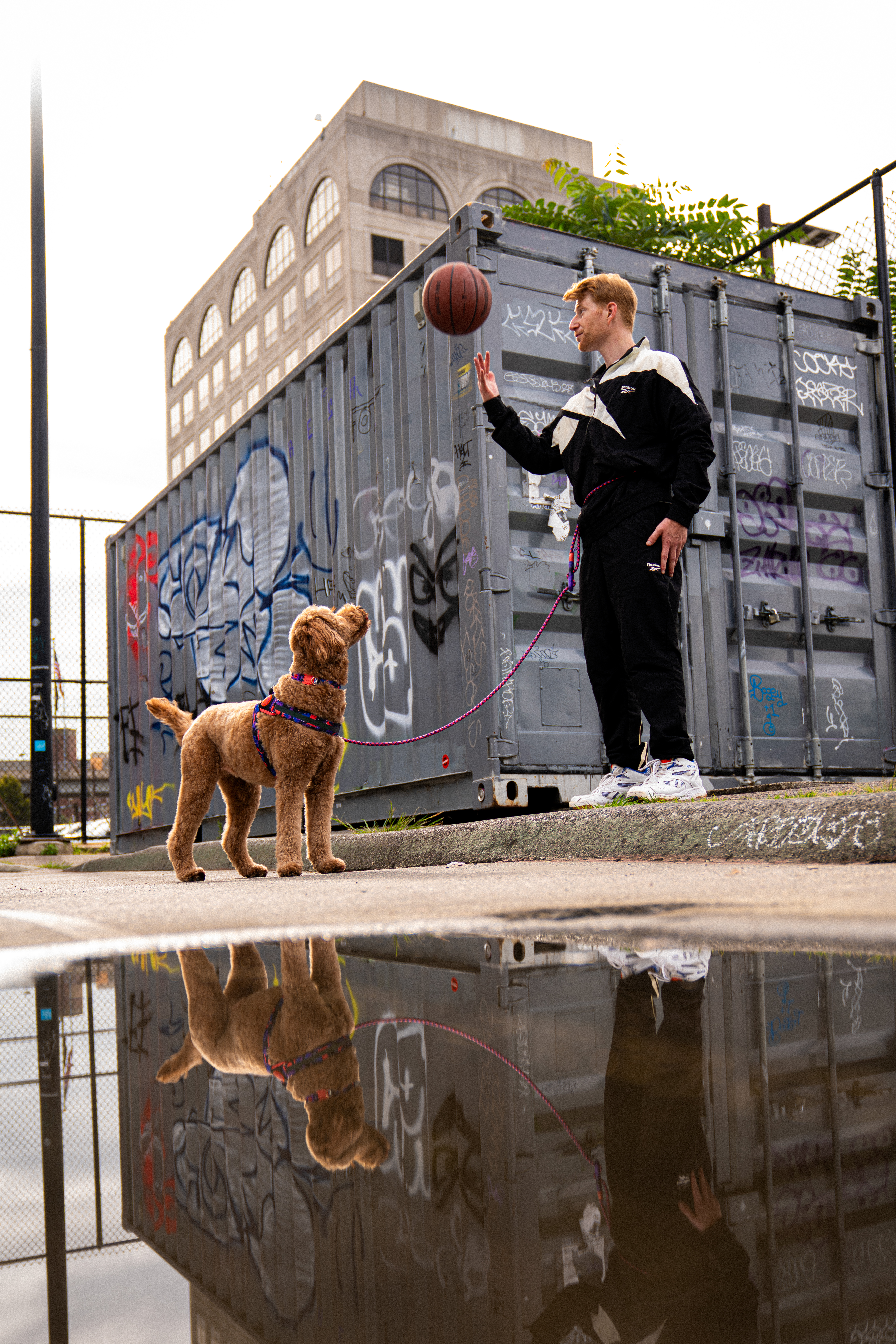 Collab Zee.Dog e Reebok