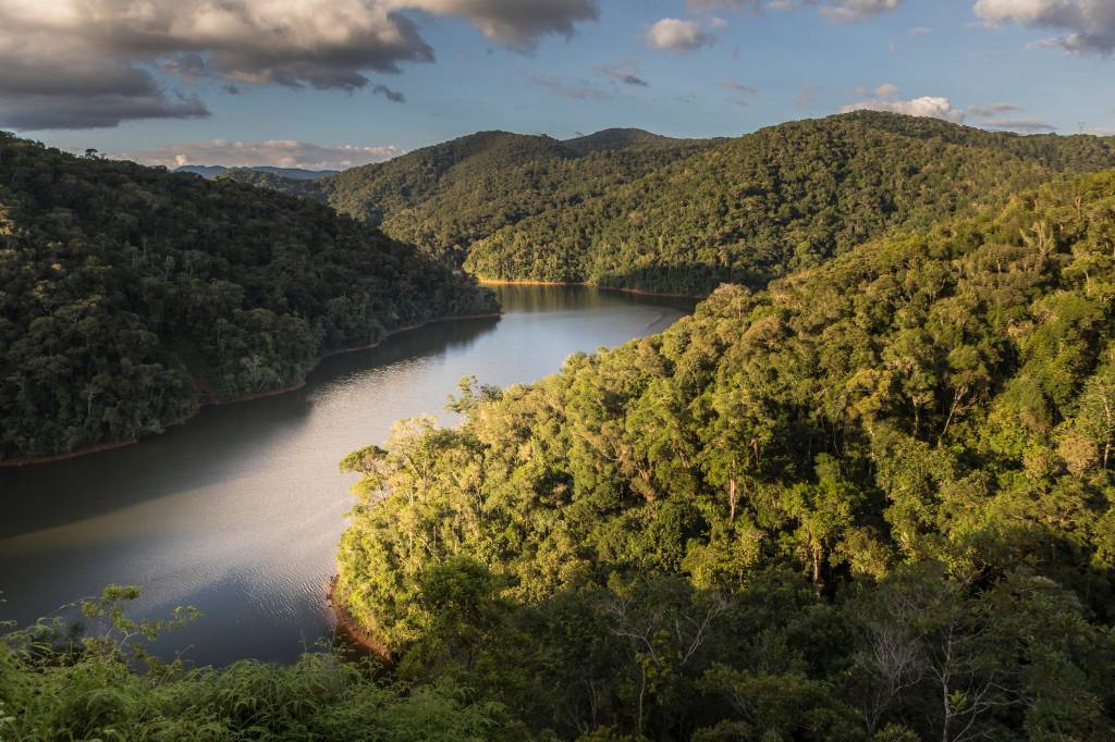Parque Villa-Lobos recebe evento de preparação para a COP30