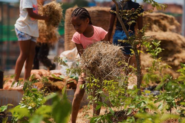 Mutirão-planta-mini-floresta-às-margens-da-Billings