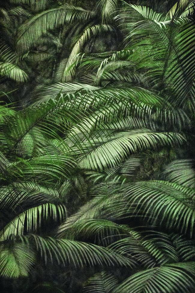 cassio-vasconcellos-viagem-pitoresca-pelo-brasil