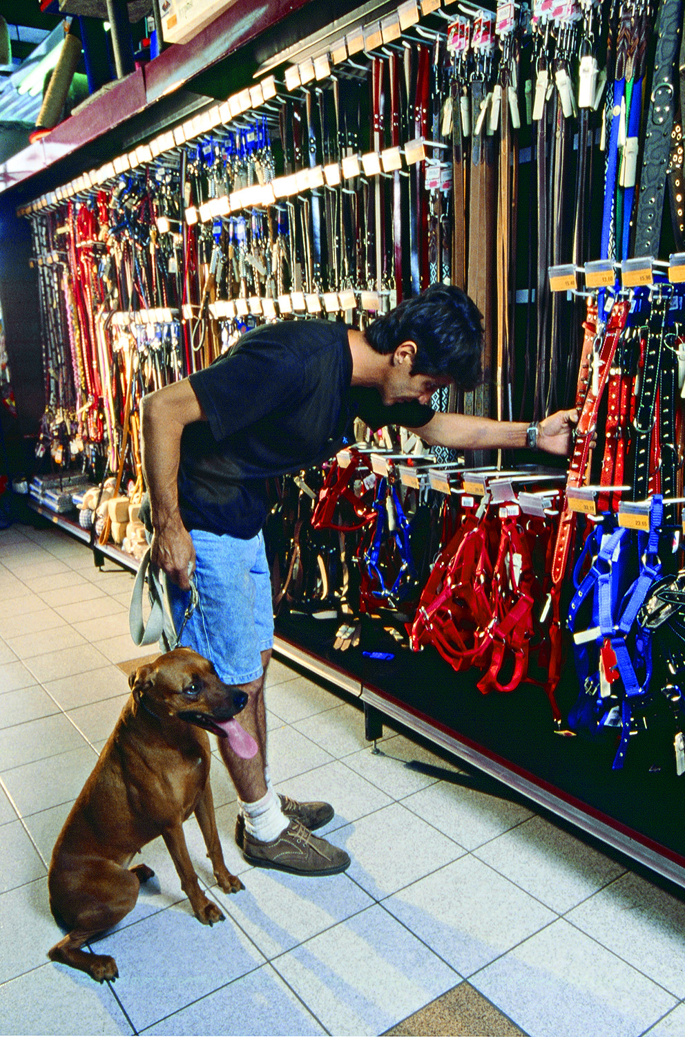 Cobasi completa 40 anos com mais de 60 lojas em São Paulo