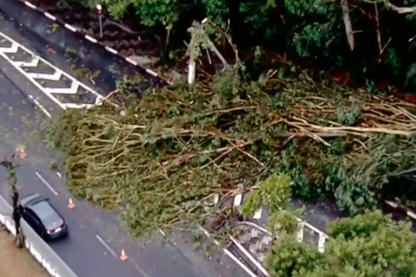 Vendaval-derruba-árvores-e-deixa-a-cidade-no-caos