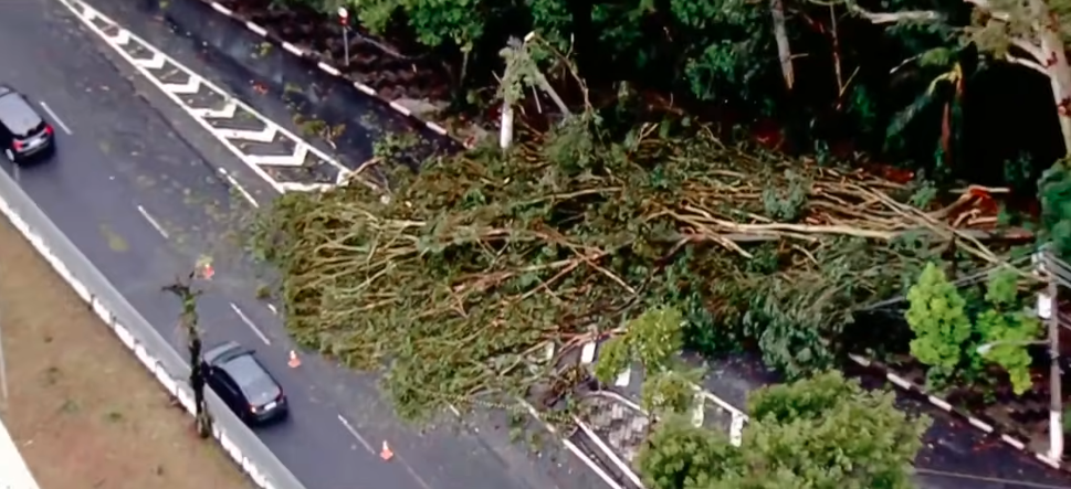 Vendaval-derruba-árvores-e-deixa-a-cidade-no-caos