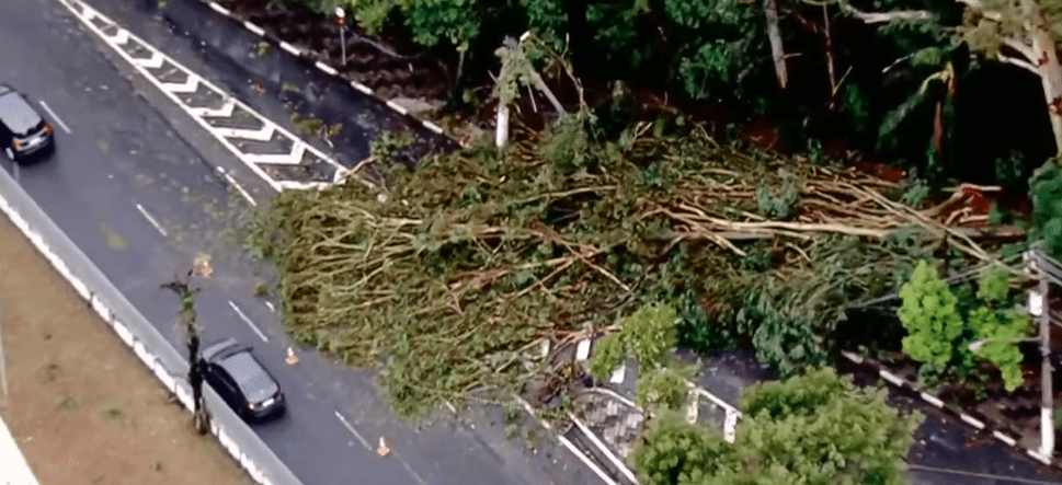 Ciclone em SP: vendaval deixa mais de 1,5 milhão sem luz e cancela voos