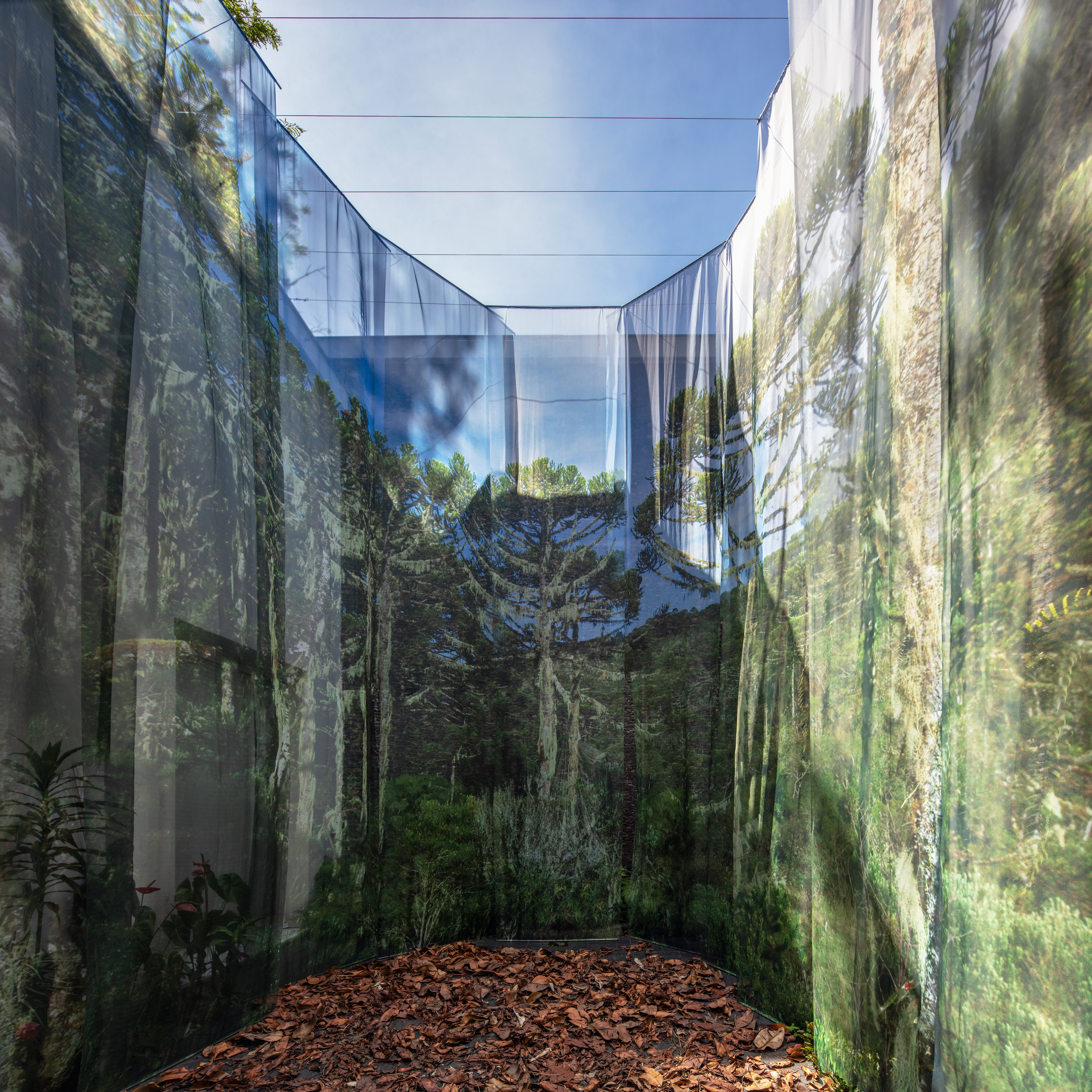 Exposição conta a história de São Paulo antes da chegada dos colonizadores