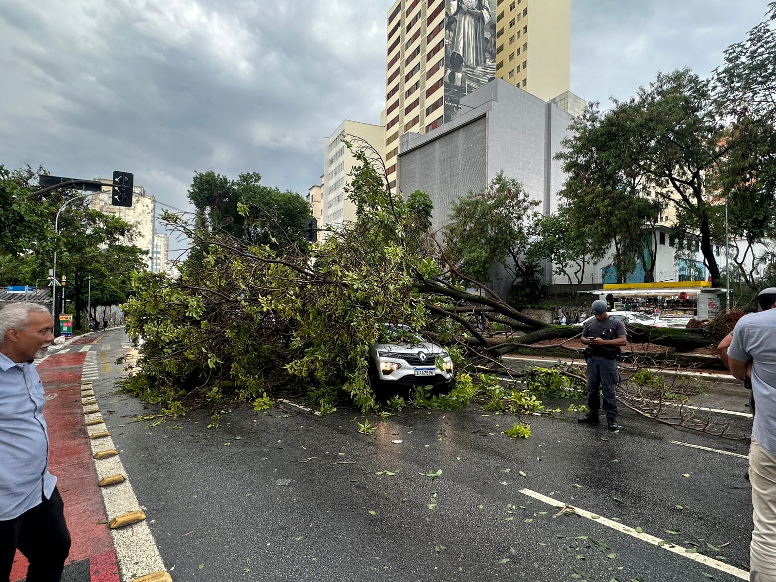 árvore caída rua consolação