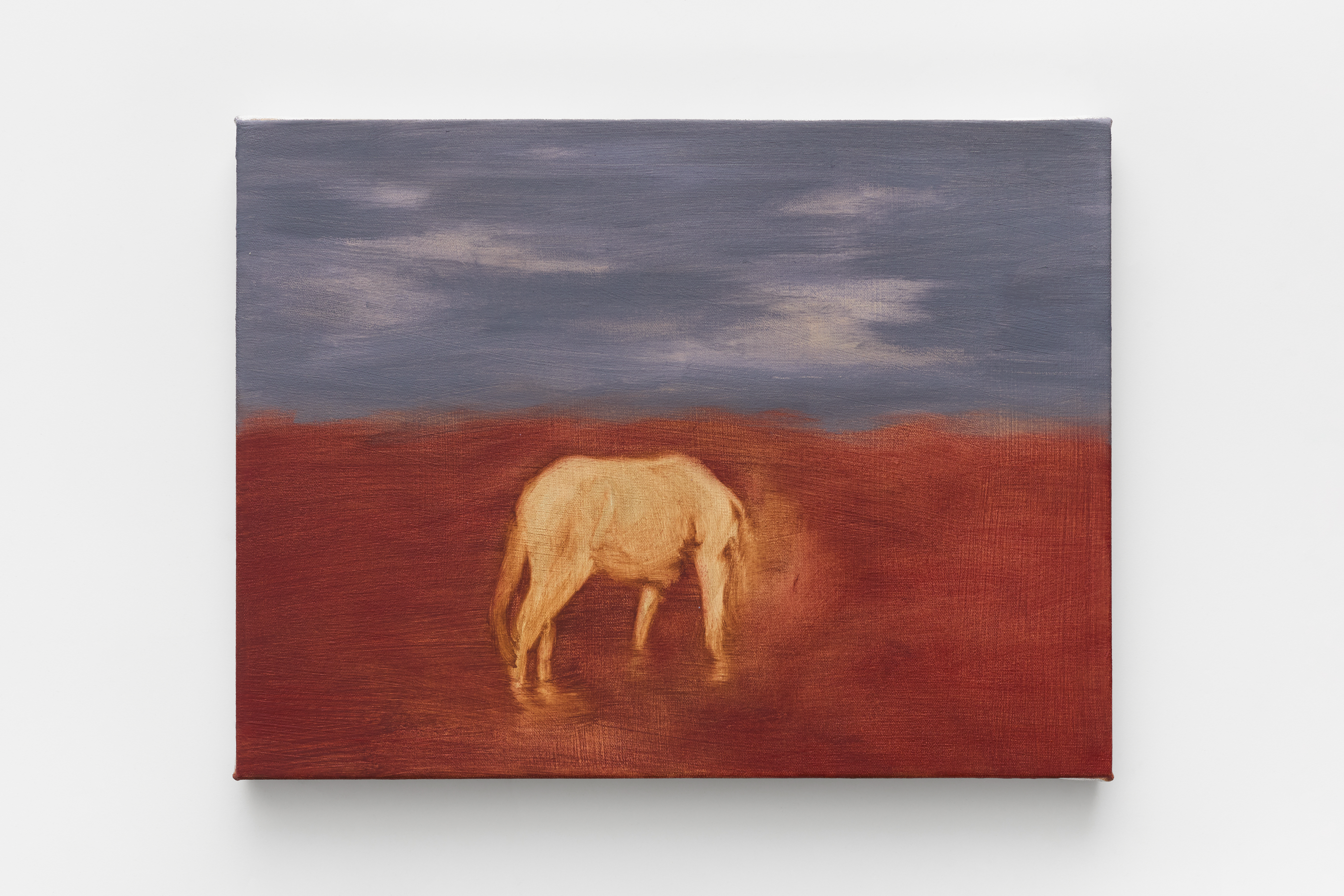 Noite do Pantanal inspira obras de Paulo Agi, em cartaz em São Paulo