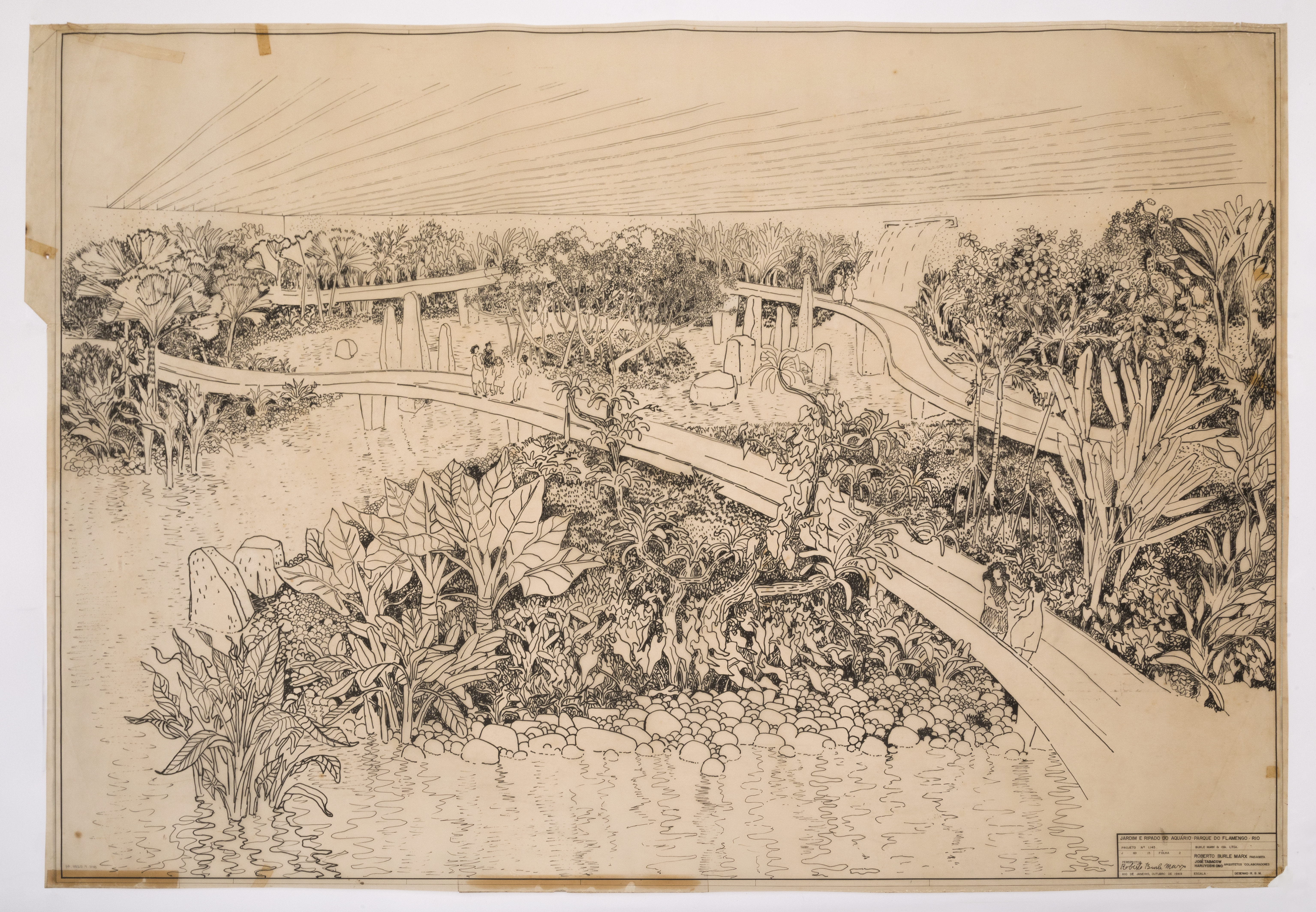 Burle Marx no Museu Judaico: exposição revela como paisagista valorizou a flora nacional