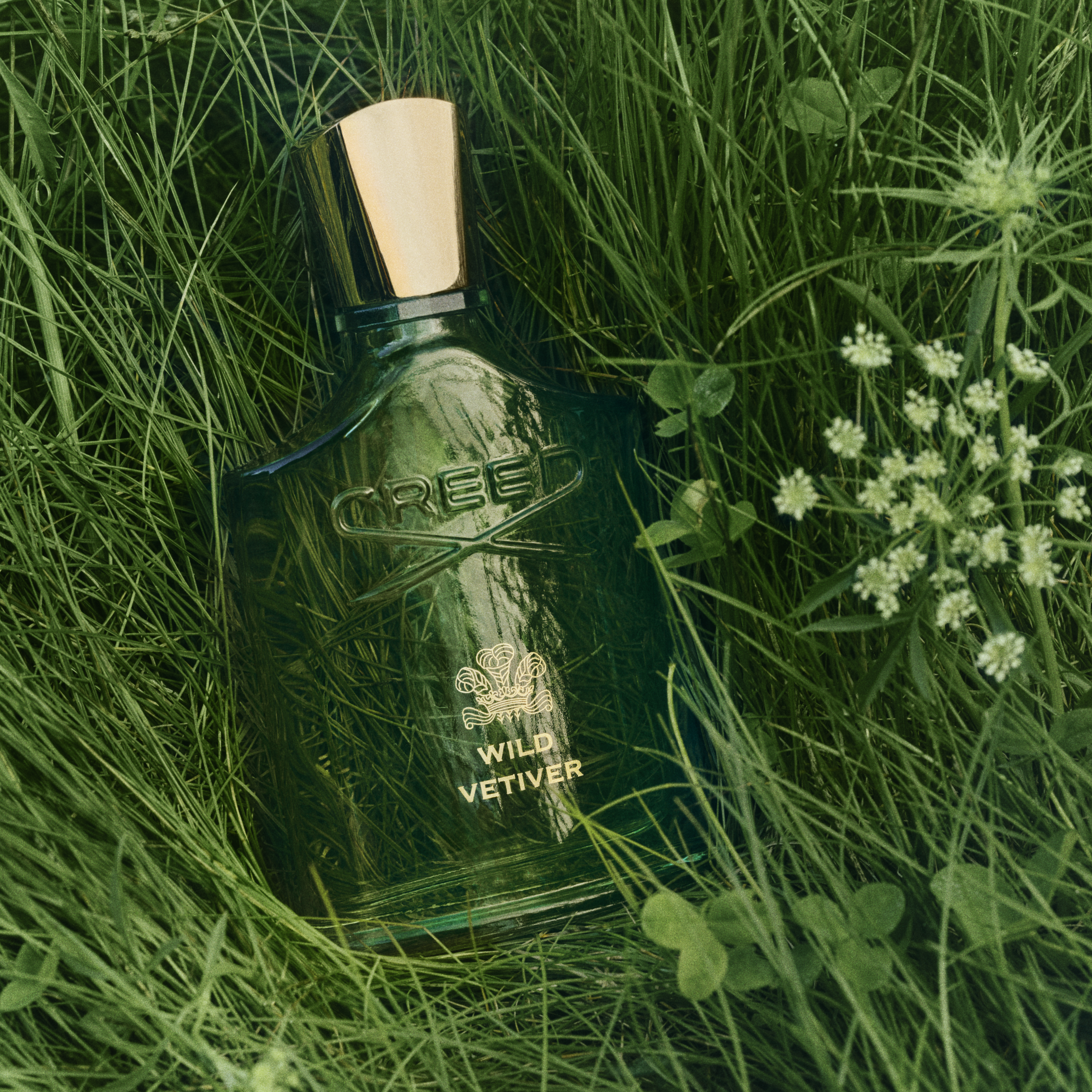 Creed – Wild Vetiver (1)