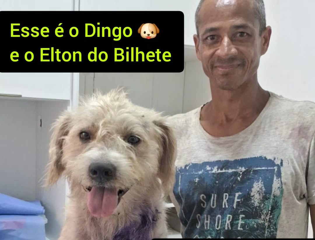Elton e Dingo – Uipa