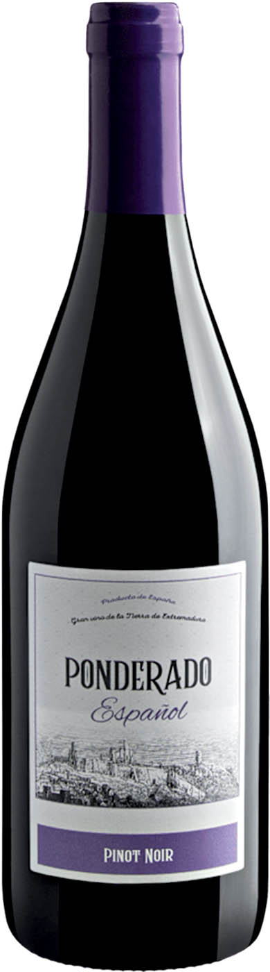 100% pinot noir: aromas de frutas vermelhas